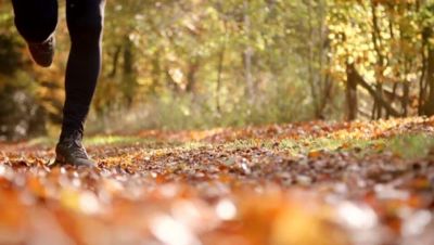 Autumn Leaves 5K 2022