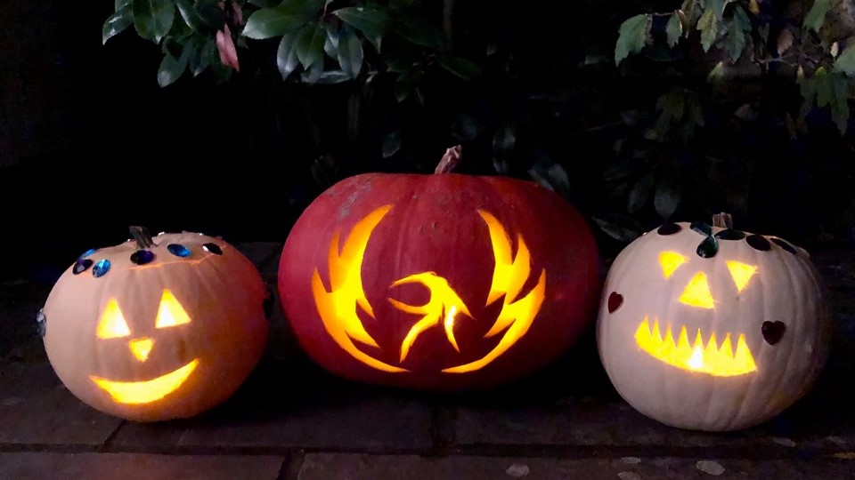 Phoenix Running at Halloween