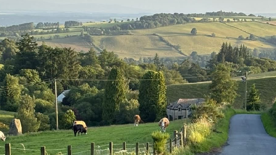Perthshire scenery