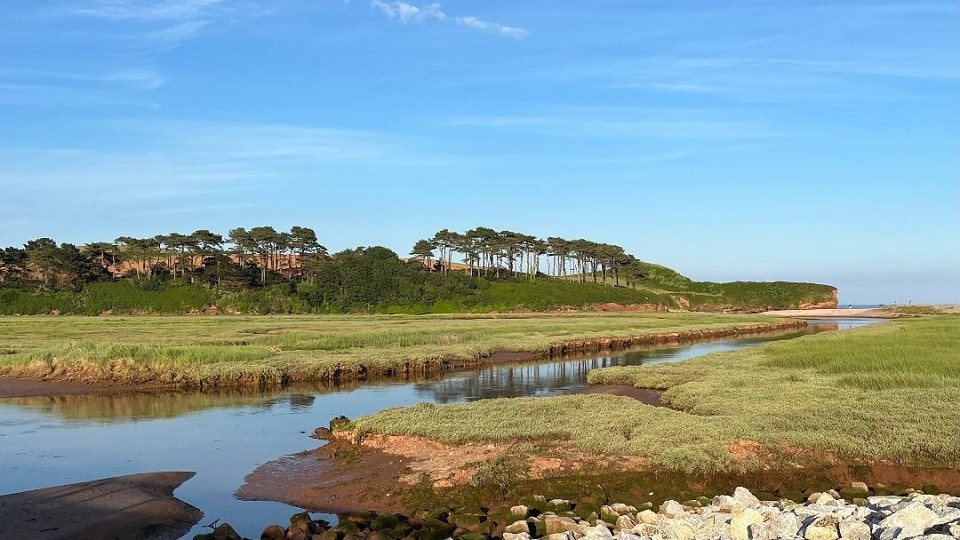 Budleigh Blister course scenery