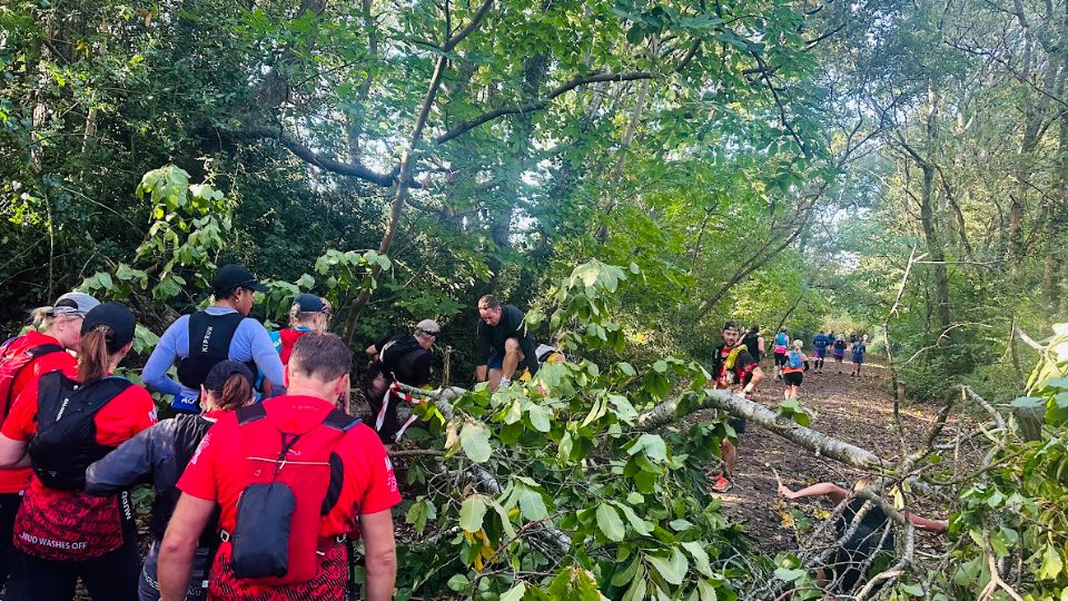 Run to the Sea Bournemouth fallen tree