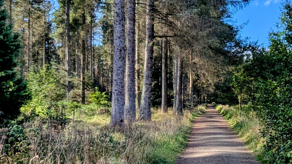 Beecraigs Country Park