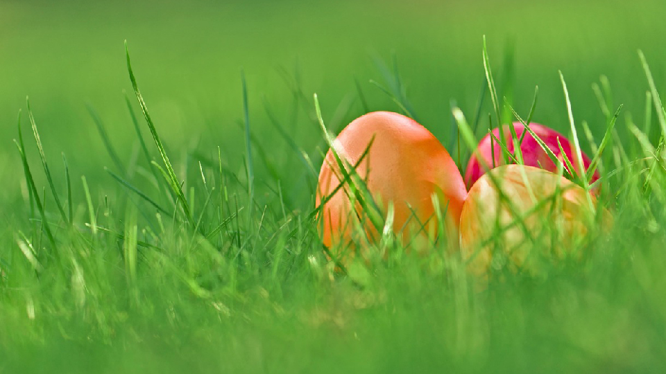 Easter Eggs in Grass