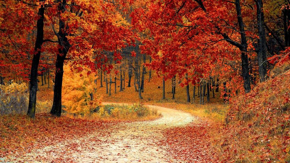 Thames Meander Autumn 2026