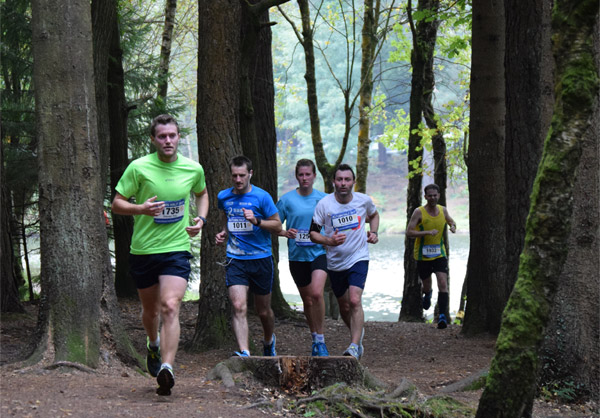runners on the trails in Forest of Dean