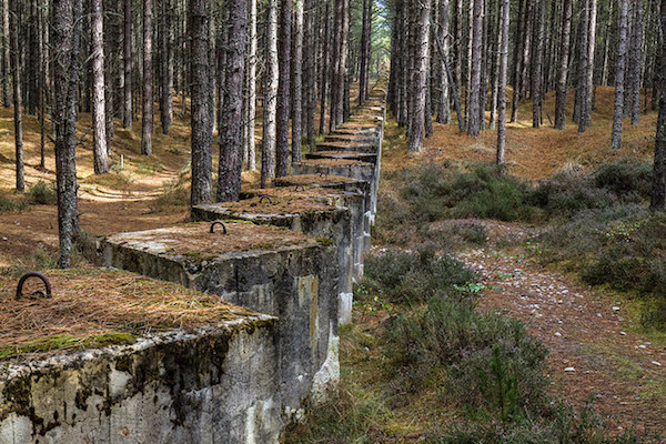 /images/news/2018/2/images/lossie-forest.jpg