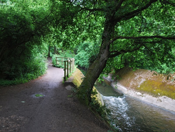 /images/news/2020/2/beverley-brook-wimbledon-common.jpg